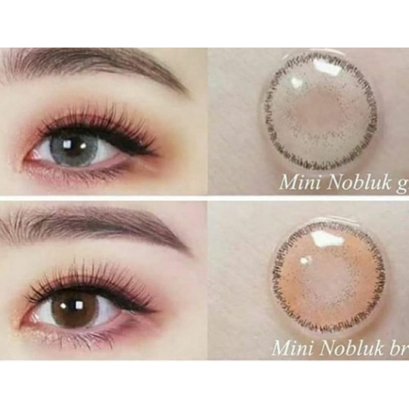 Softlens Dreamcolor Mini Nobluk Gray Abu dia.14mm Normal Minus s.d -8.00