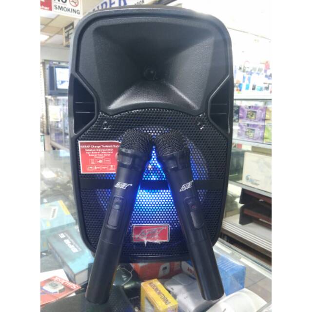 PORTABLE WERLESS 8 IN 2 MIC