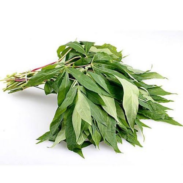 

PASAR ONLINE MURAH - DAUN SINGKONG 1 IKAT