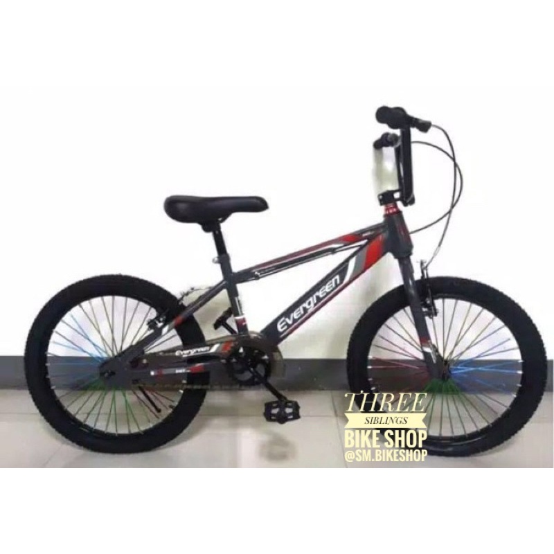 SEPEDA BMX EVERGREEN B1 20 INCH WARNA GREY