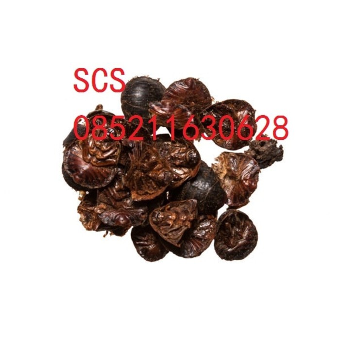

tu bie chong 600 gram