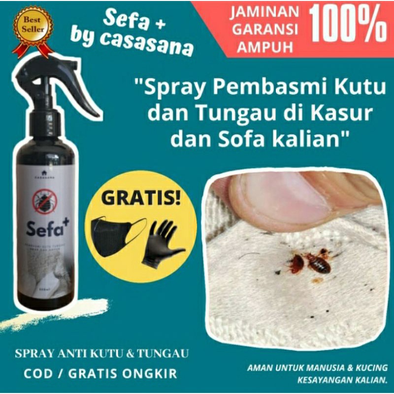 Obat Pembasmi Kutu Tungau Kasur dan Sofa Sefa Plus Spray Anti Kutu