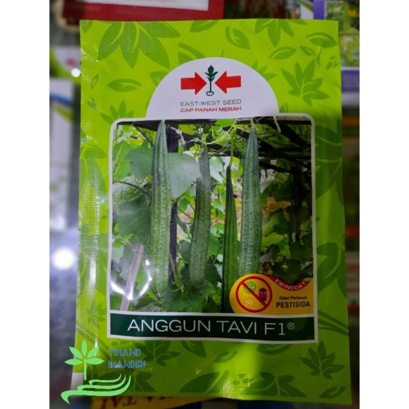 Benih Oyong / Gambas ANGGUN TAFI F1 Cap Panah Merah