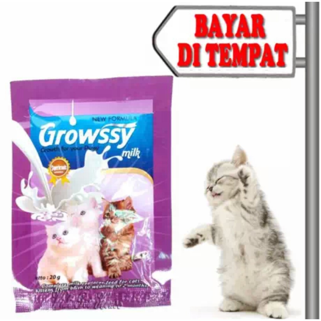 Susu Kucing Kecil Kitten Indukan Growssy