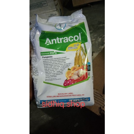 

fungisida antracol 250