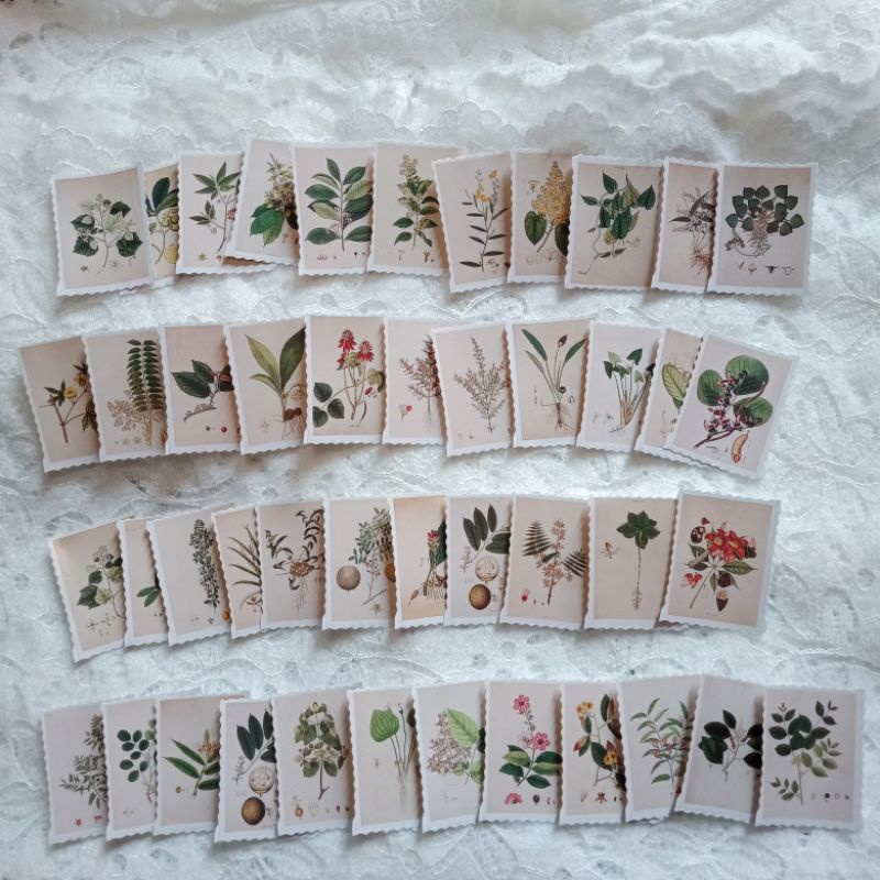 

PLANT PERANGKO STICKER VINTAGE UNTUK JOURNAL SCRAPBOOK DIARY (1PC)