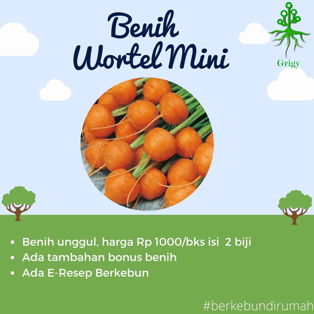 BENIH WORTEL MINI, BIBIT WORTEL MINI