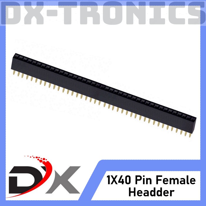 Female Pin Header 1 x 40 ( 2.54 mm ) 40 pin