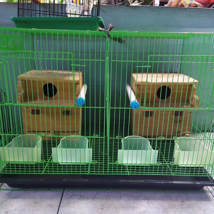 Produk Unggulan] Paket Kandang Ternak Sekat | Umbaran Sekat | Burung Lovebird