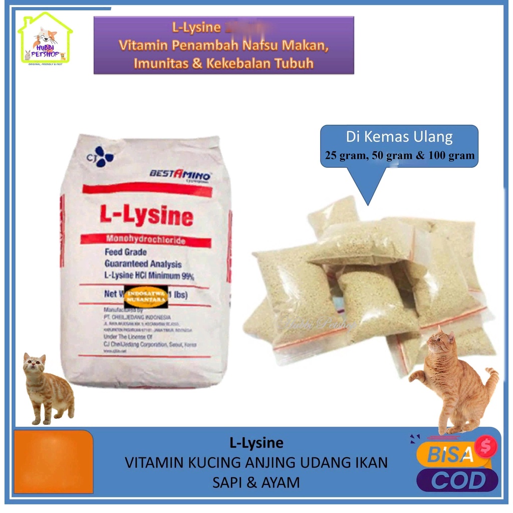 Vitamin Kucing Penggemuk Penambah nafsu Makan Kucing Anjing Sapi Kelinci LYSINE Asam Amino