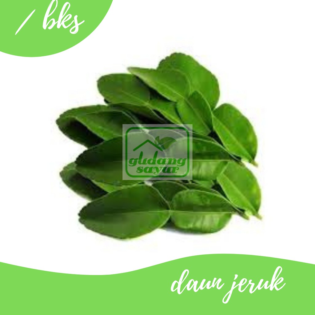 

Daun Jeruk 1 bungkus Gudang Sayur Purwokerto