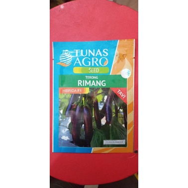 Terong Rimang-Tunas Agro