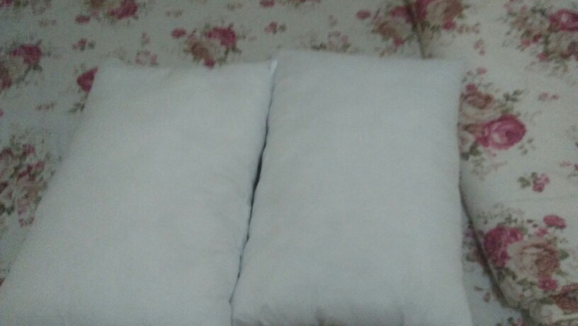 Bantal Tidur Bizzarpillow