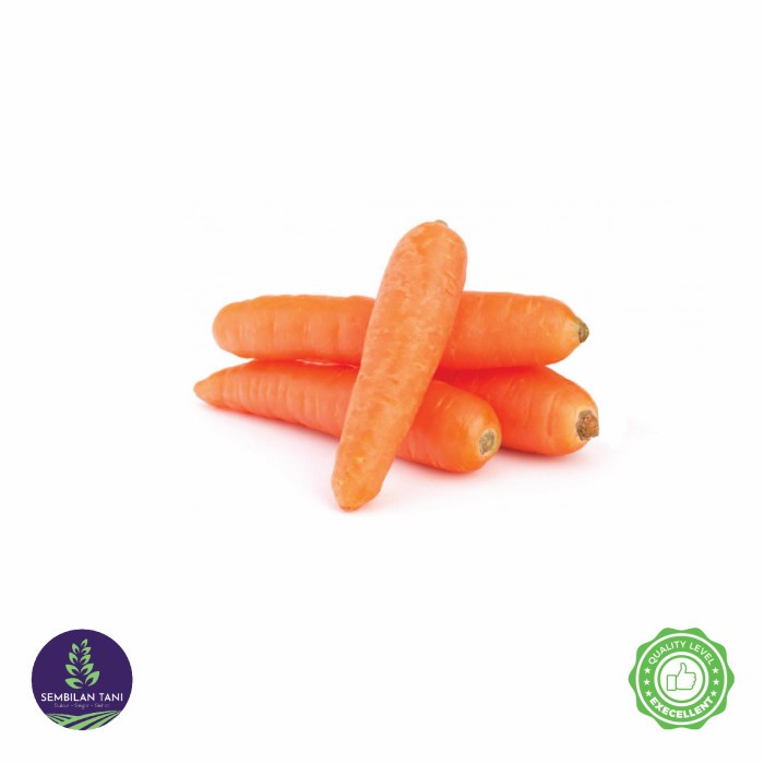 

Sayur baby wortel fresh per 500 gram