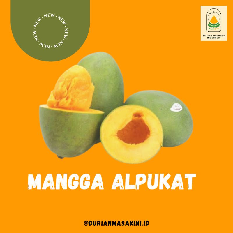 

DURIAN MASAKINI - MANGGA ALPUKAT SUPER PREMIUM 3KG ISI 6-8 BUAH