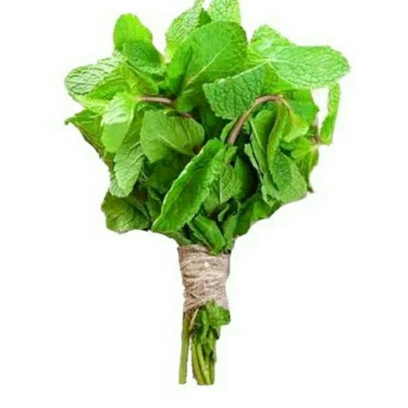 

Daun Mint/100gr