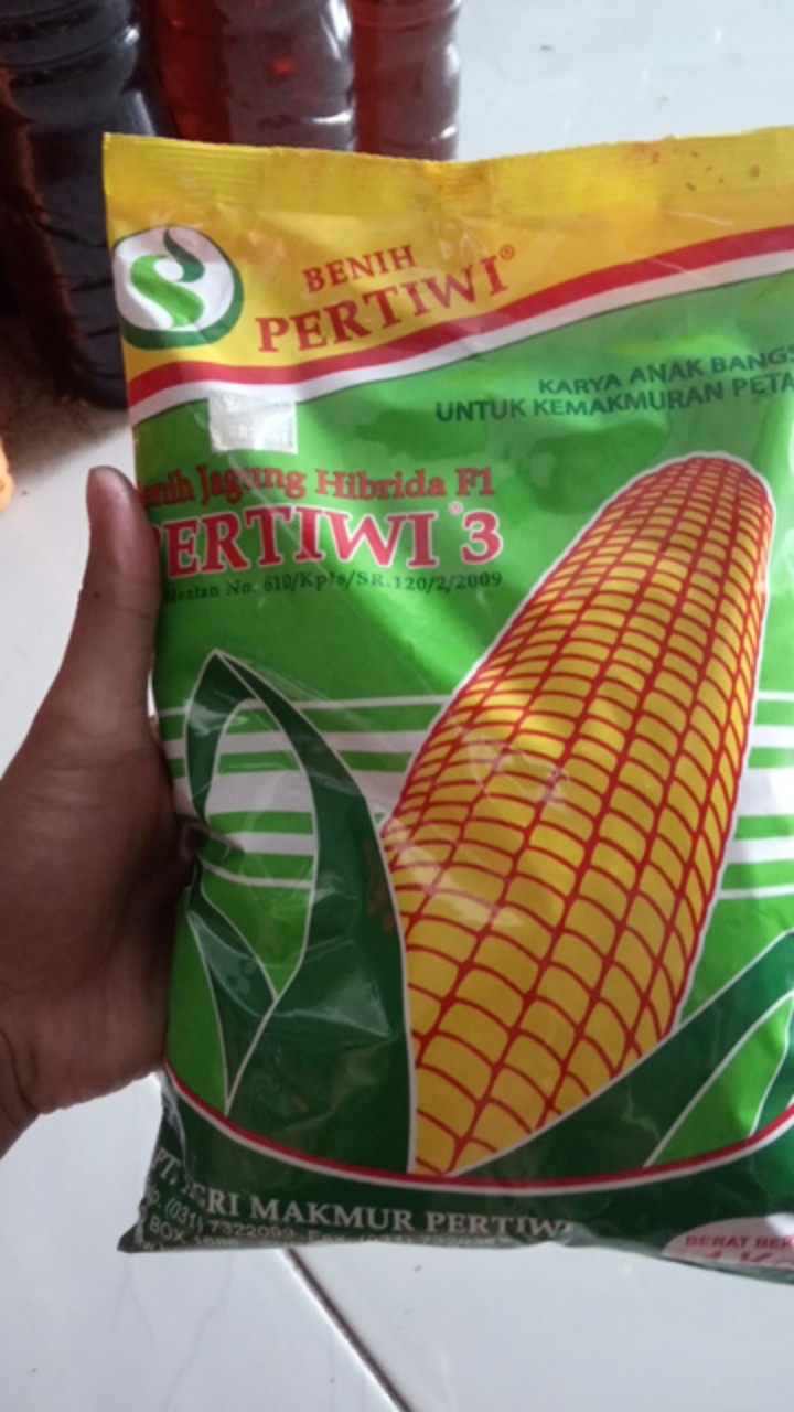 Bibit Jagung. Benih Jagung Hibrida F1 Pertiwi 3 (1 Kg)