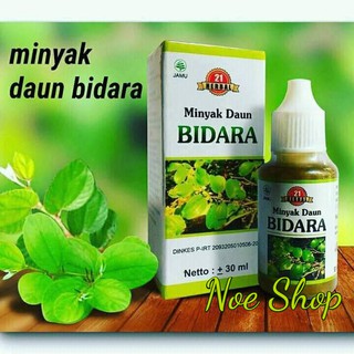 Download 92 Gambar Gambar Daun Bidara Terbaik Gratis