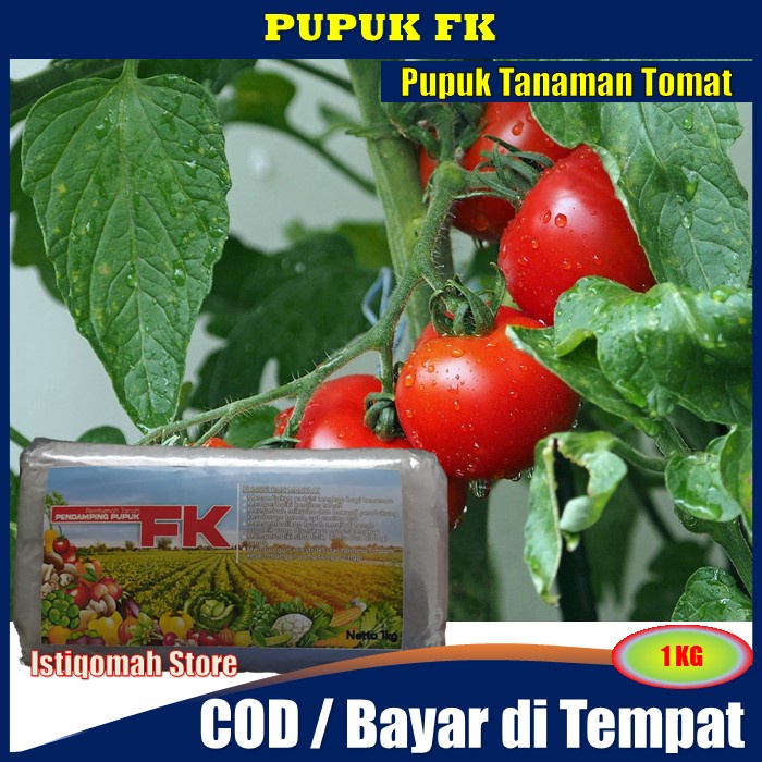 Pupuk FK 1 Kg untuk Tomat - Pupuk Organik Pelebat Buah Tomat - Pupuk Buah Tomat - Pupuk Tanaman Tomat - Pupuk Daun Tomat - Pupuk Cabe dan Tomat - Pupuk Tomat Cabe - Pupuk Buat Tomat - Pupuk Organik FK MURAH TERLARIS