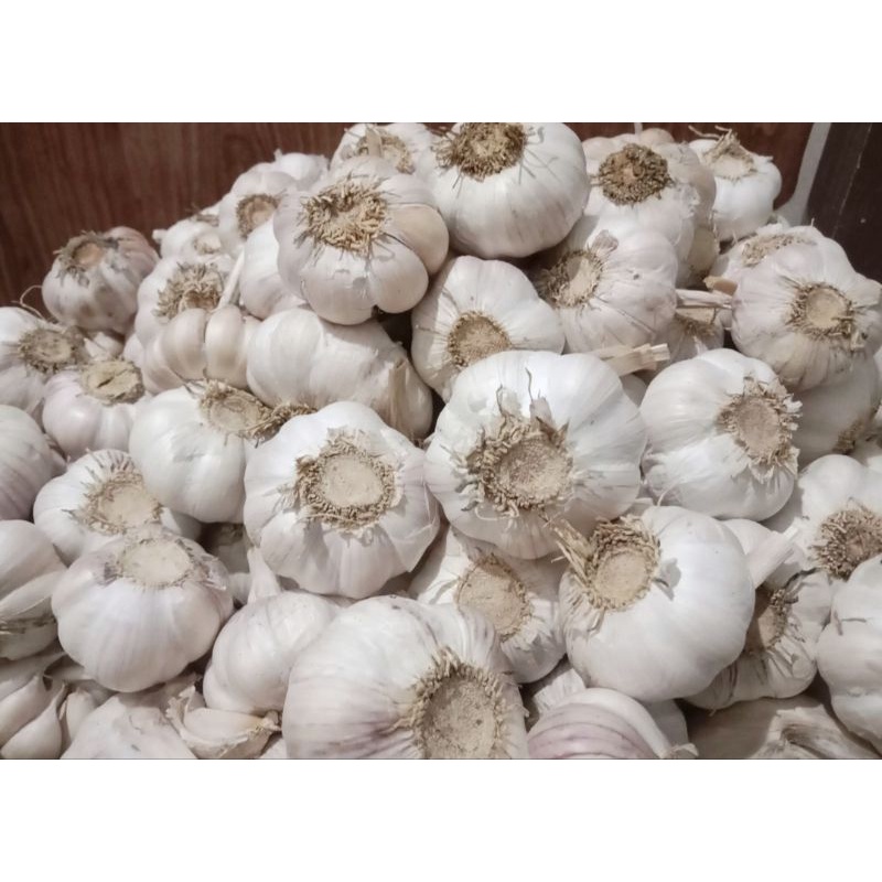 

Bawang Putih Honam Kualitas Premium