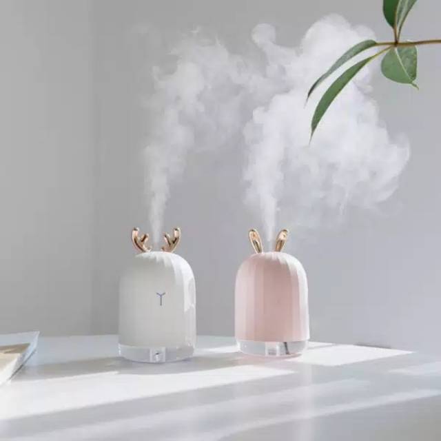 Diffuser /humidifier only