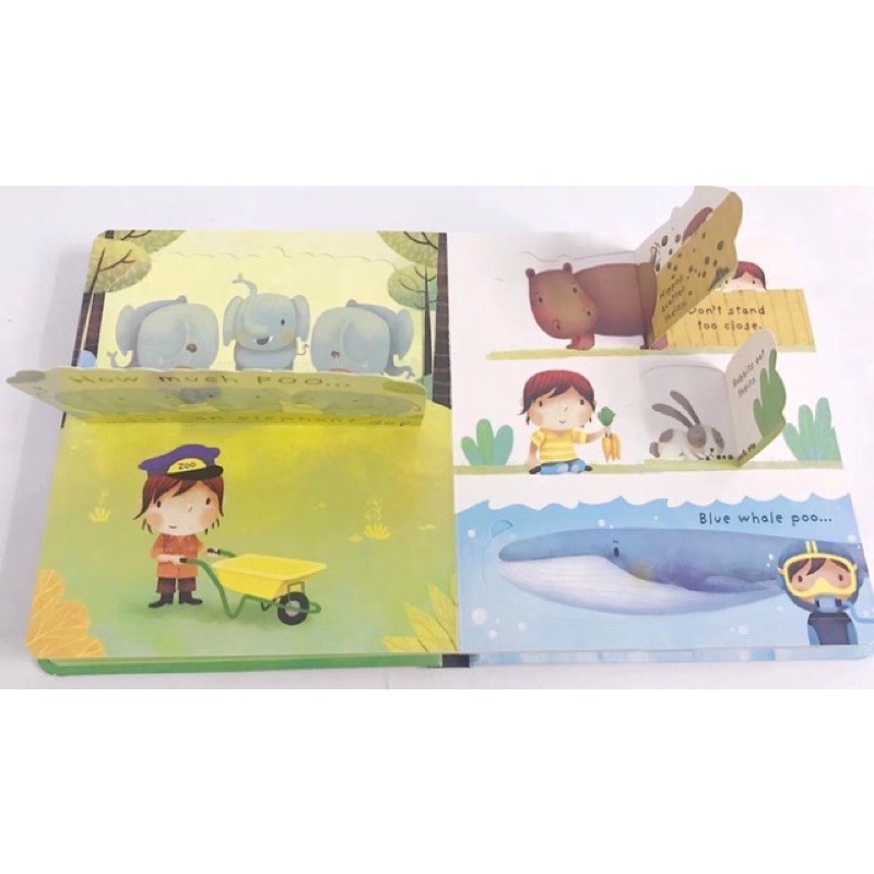 Usborne lift the flap what is poo - buku import anak