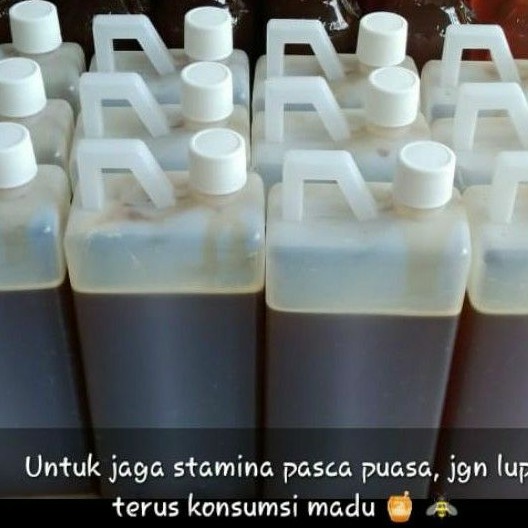 

madu bunga kopi