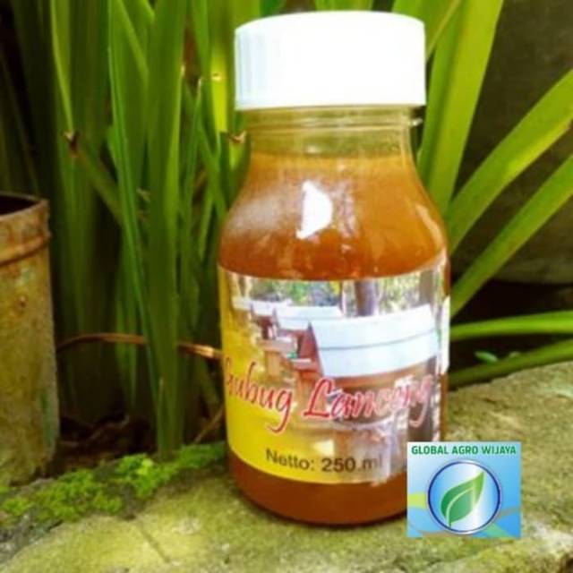 

MADU TAWON KLANCENG GUBUG LANCENG 250 mL