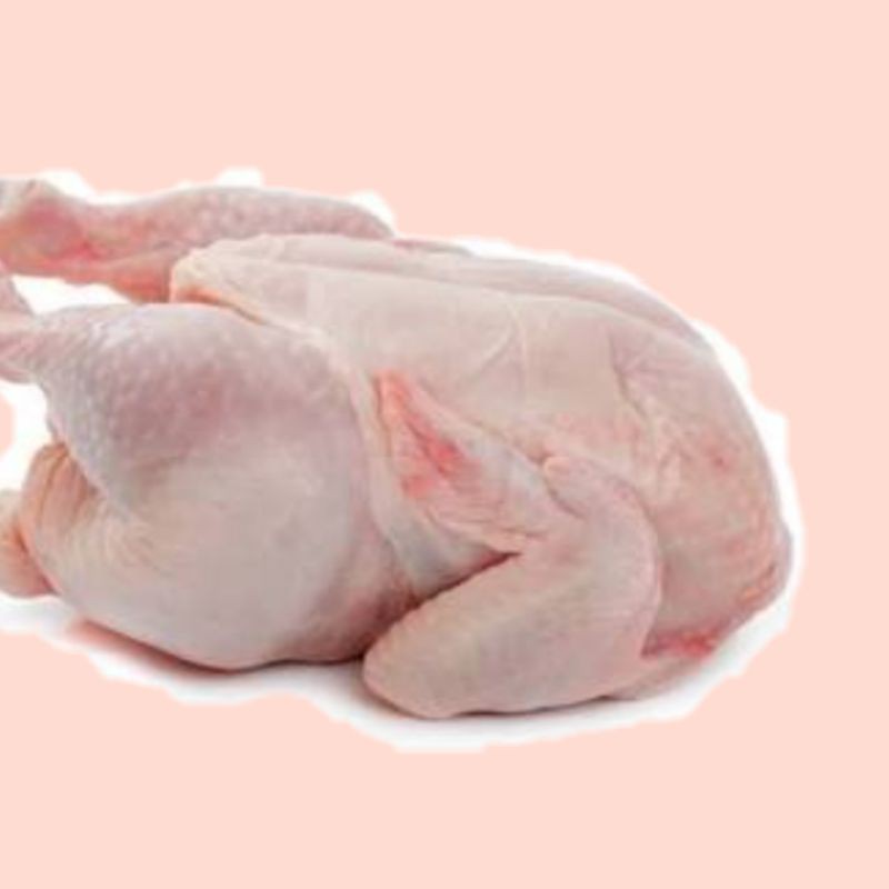 

Ayam potong per ekor