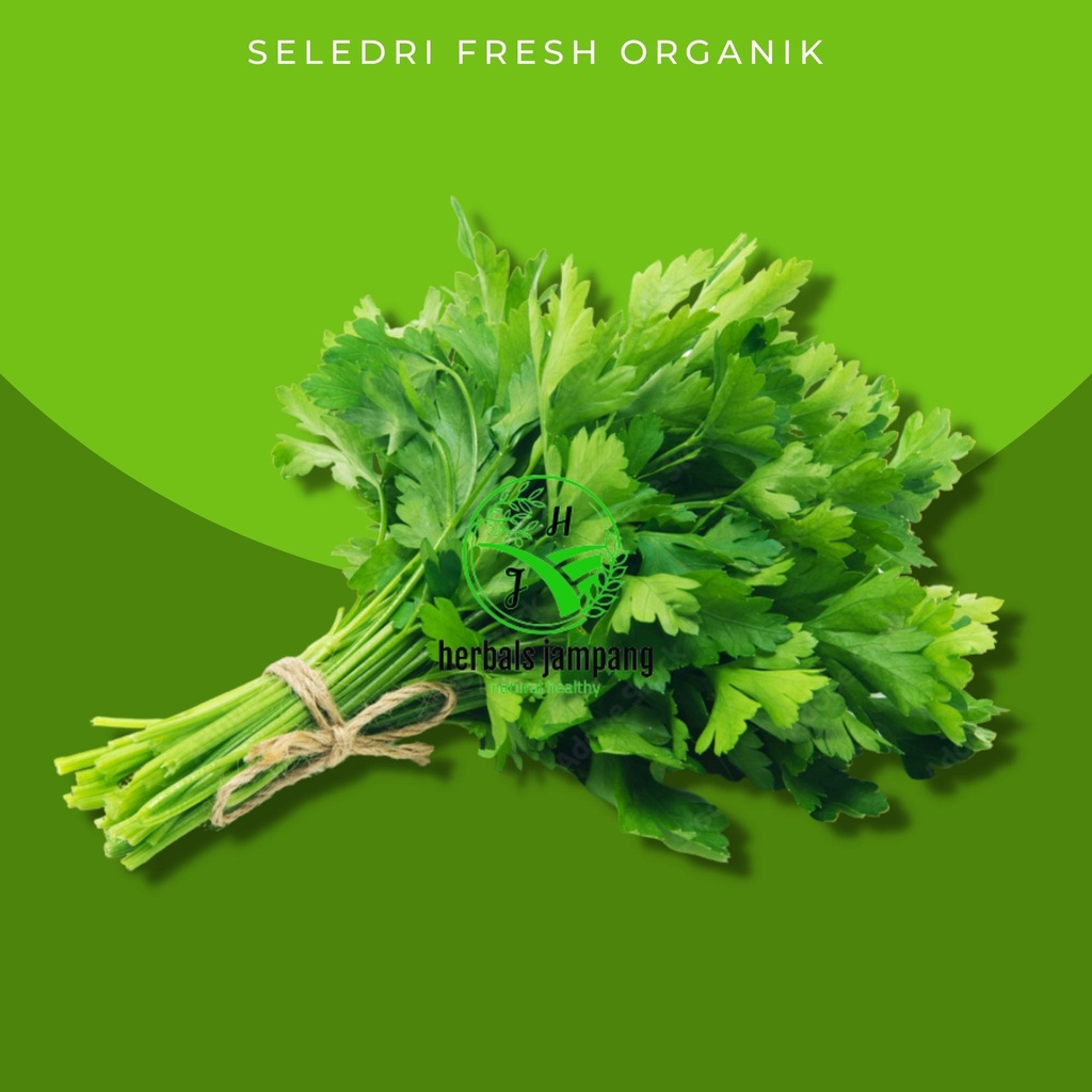 

Seledri Fresh Organik Daun Seledri Segar Rempah Rempah Daun Seledri Organik Di Jual Perikat seledri fresh organik daun seledri segar rempah rempah daun seledri organik di jiual perikatm