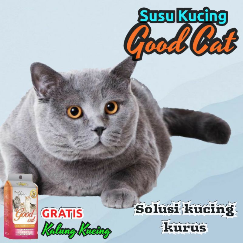 SUSU KUCING PENGGEMUK KUCING VITAMIN KUCING SUSU BAYI KUCING SUSU