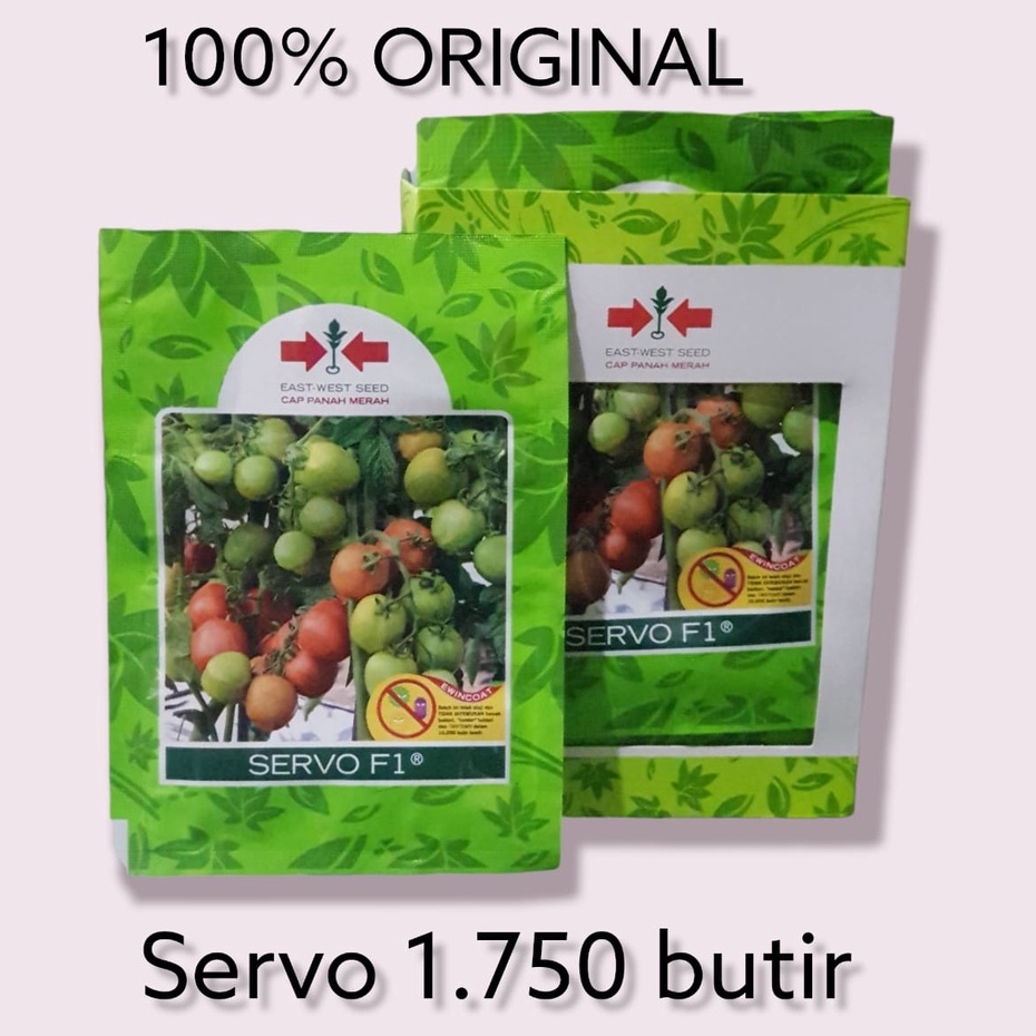 TOMAT SERVO TYMOTI F1 ASLI ORIGINAL