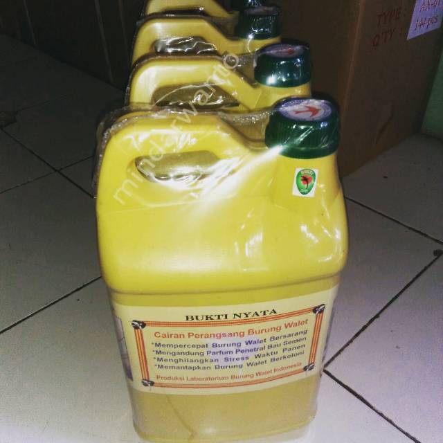 Parfum Walet Bukti Nyata