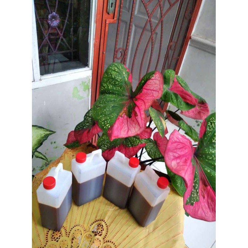 

(COD) MADU ASLI MASU HUTAN