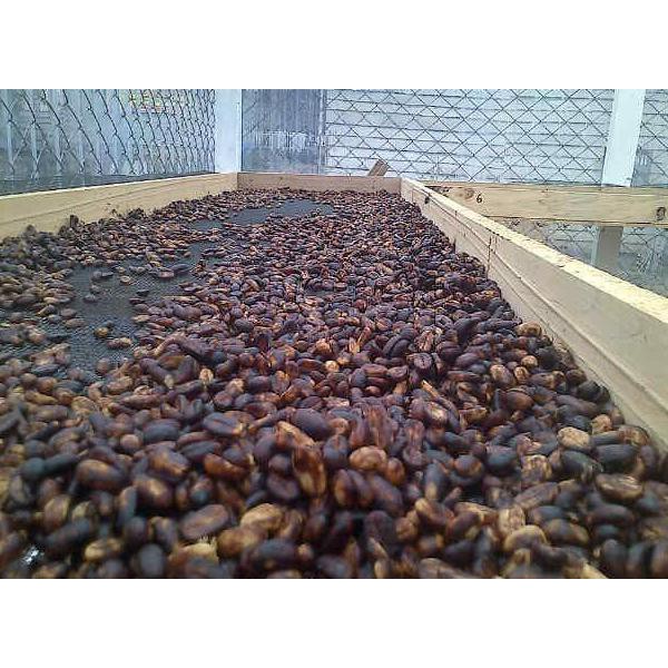 

Promo Akhir Tahun Biji Kopi Gayo Premium / Bean Gayo Kode 89