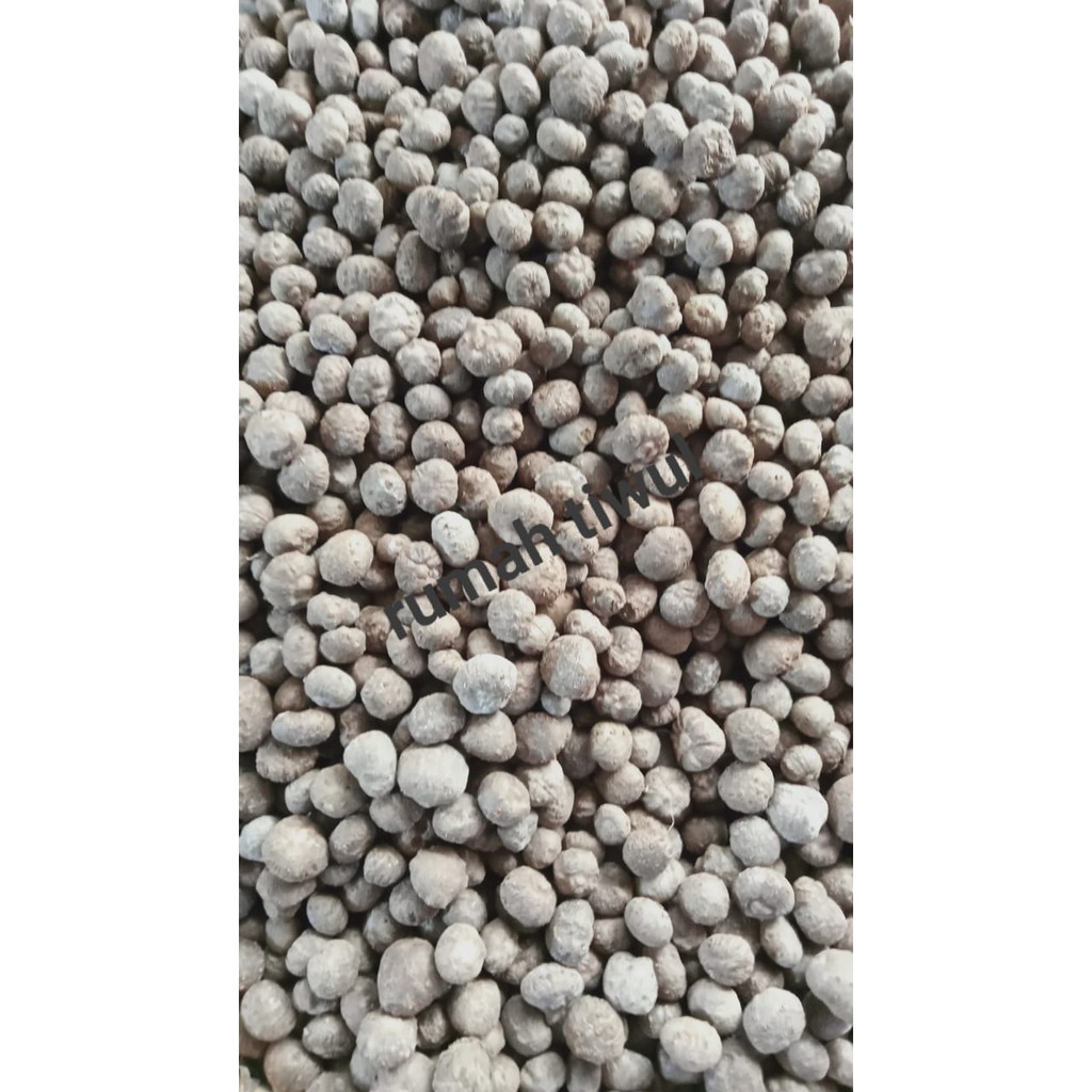 Bibit Porang Katak MiniWonosobo MARIAgro MARTani 1 kg