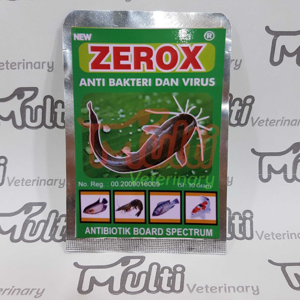 Gambar Ikan Lele Patin