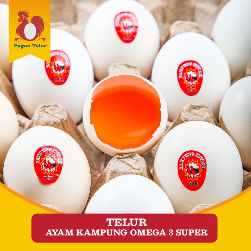 

TELUR AYAM KAMPUNG OMEGA 3 SUPER PER-BUTIR