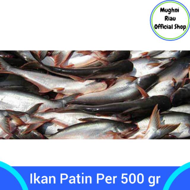 

Ikan Patin Per 1/2 Kg