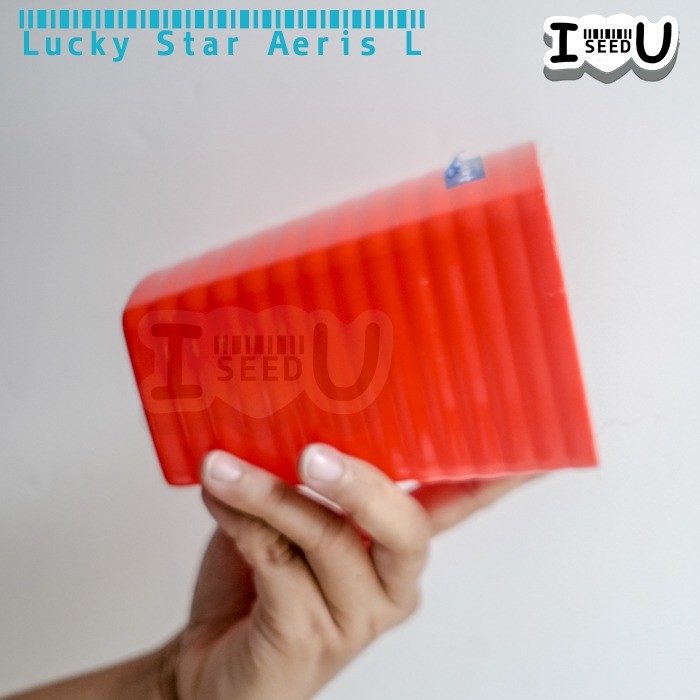 Pot/Vas Bunga Warna 10cm Aeris 5353-DX - Lucky Star