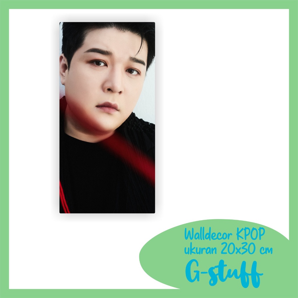 WALLDECOR  SHINDONG SUPER JUNIOR UKURAN 15X30 CM