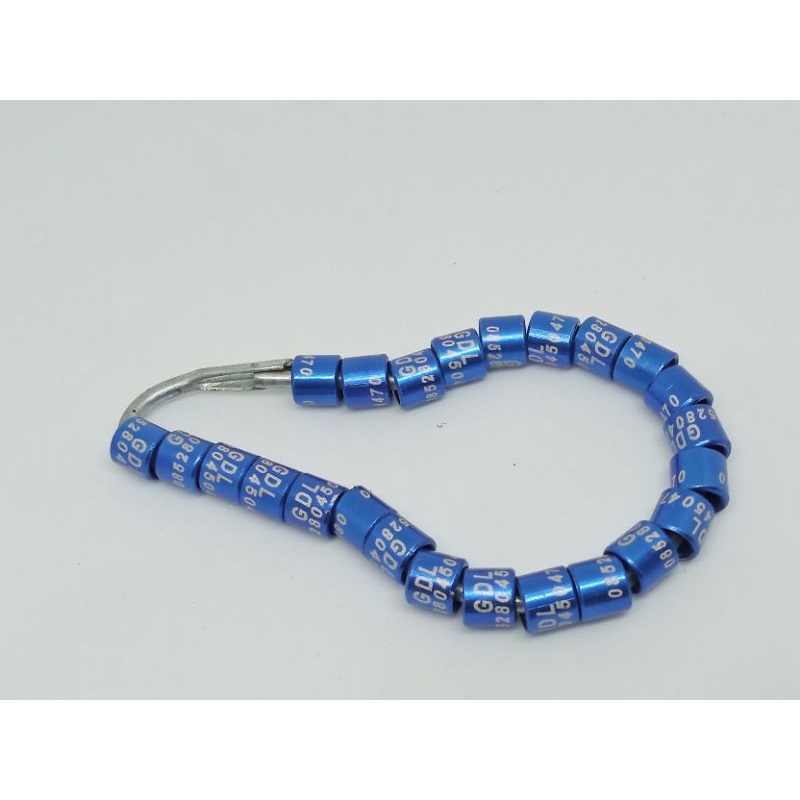 Ring Burung LB Dan Murai Custom Nama