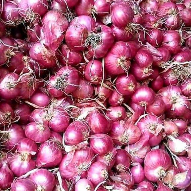 

Bawang merah
