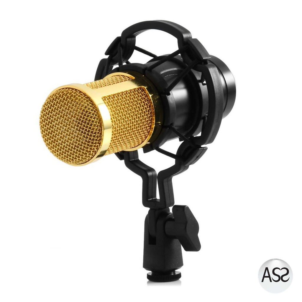 ASS Shop - TaffSTUDIO Mikrofon Kondenser Studio dengan Shock Proof Mount - BM-800