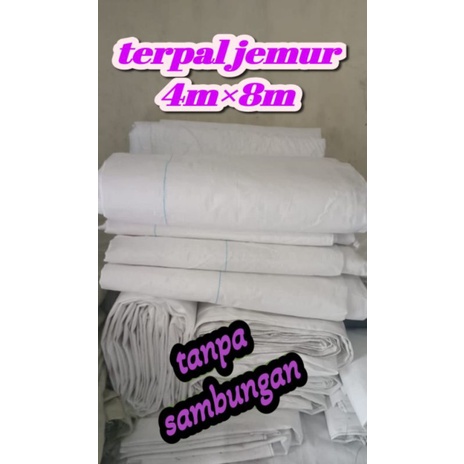 terpal jemur/hamparan 4m×8m