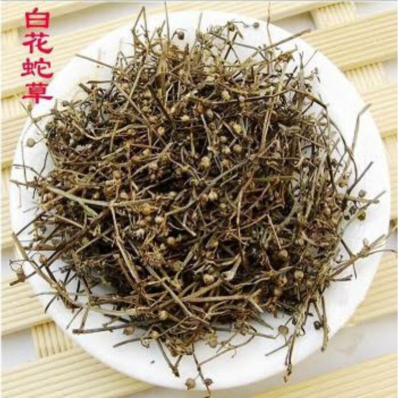 

100gr 白花蛇草 Bai Hua She Cao Hedyotis Diffusa