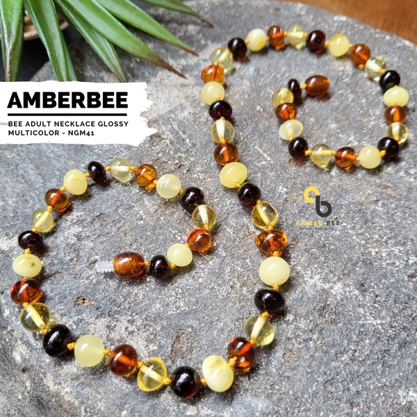 Kalung Amber Dewasa Premium Glossy Multicolor 46-57cm NGM41