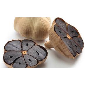 

Bawang Hitam black garlic obat kolesterol asam urat diabetes tumor mencegah stroke menormalkan darah