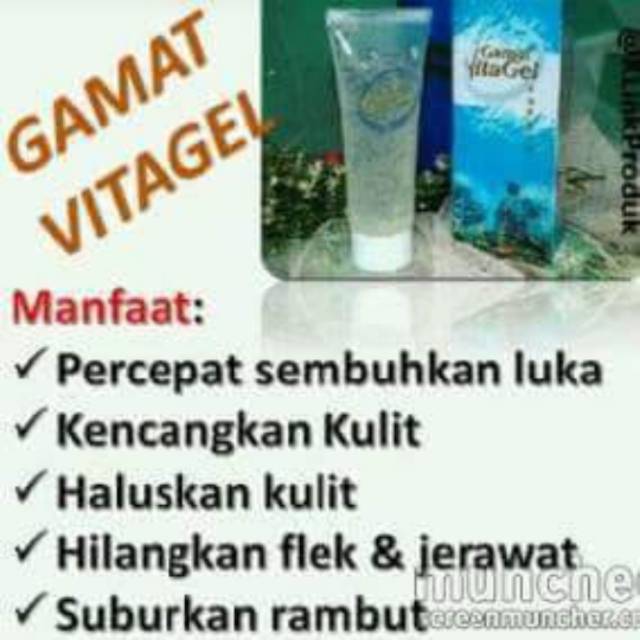 GAMAT VITAGEL
