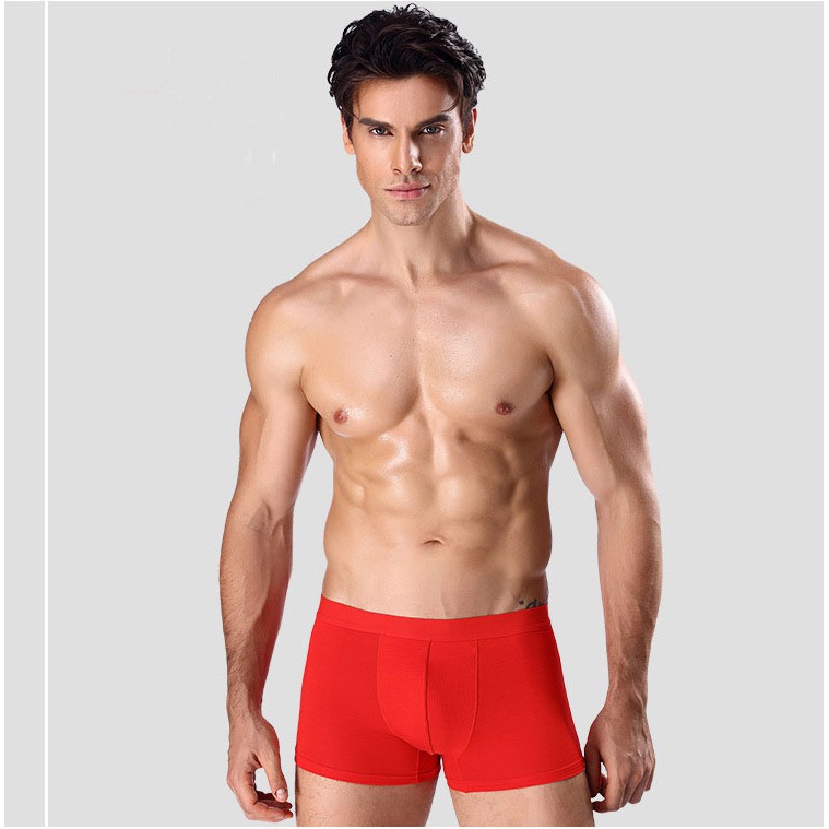 Celana Dalam Pria Boxer Brief Sexy Bahan Elastis  1pcs harga Y030